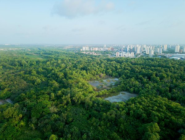 Boostez vos compétences en réseaux sociaux avec cette formation !