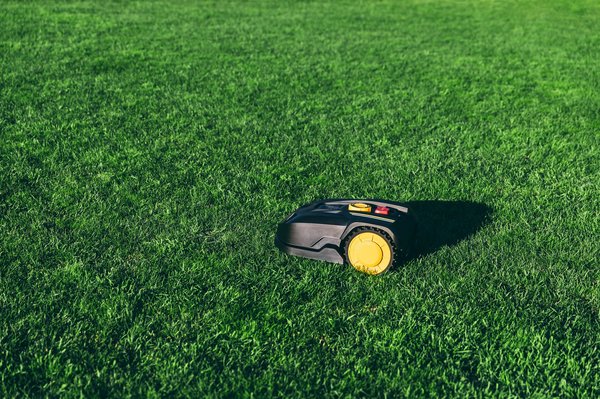 Comparatif 2024 : meilleur robot tondeuse pour votre jardin